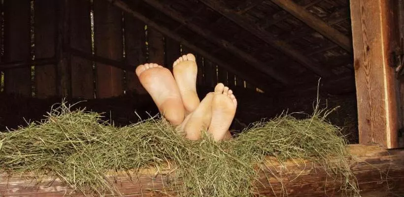 Отель Landgasthof Kirchmayer