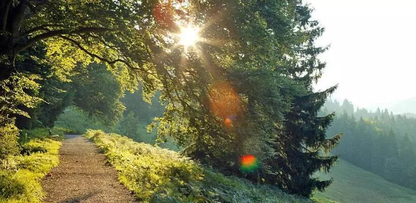 Отель Landgasthof Kirchmayer