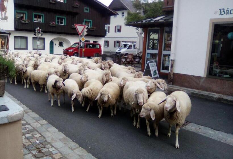 酒店 Landgasthof Kirchmayer