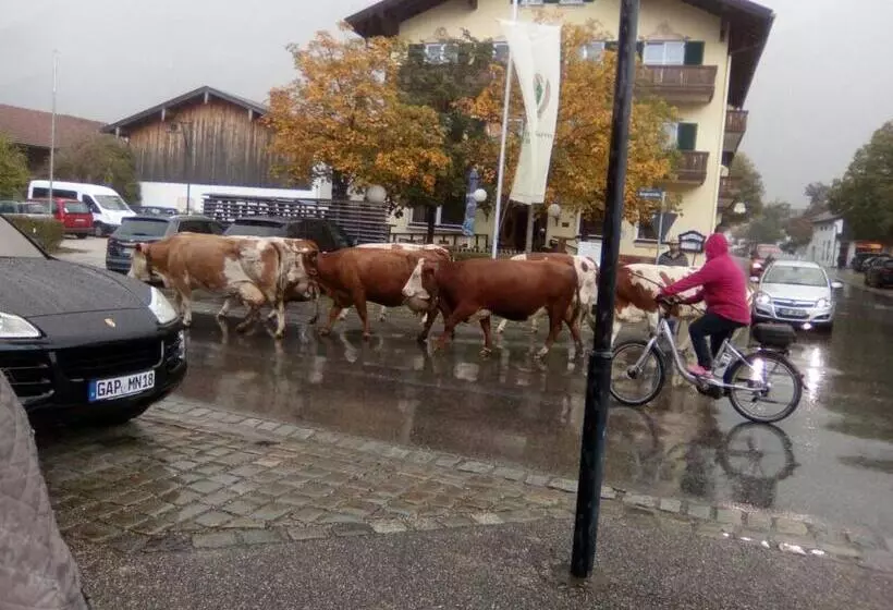 Отель Landgasthof Kirchmayer