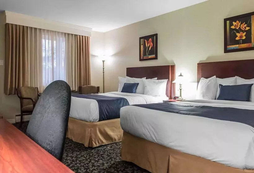 酒店 Quality Inn  Mont Laurier