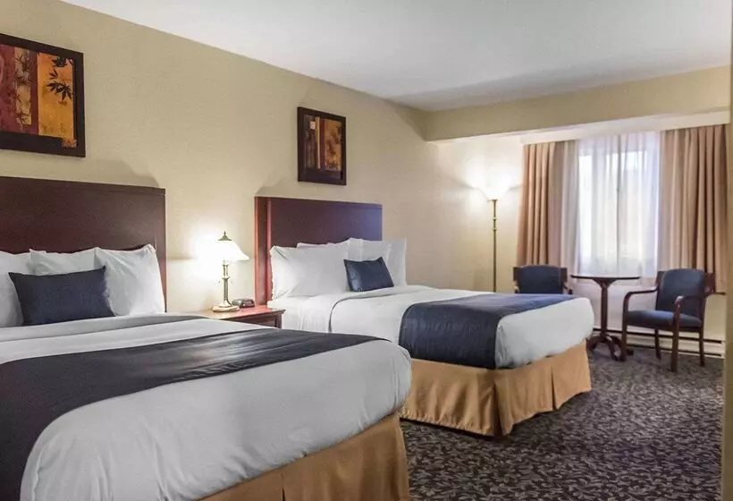 酒店 Quality Inn  Mont Laurier