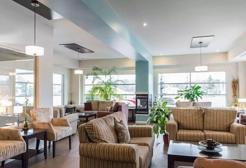 酒店 Quality Inn  Mont Laurier