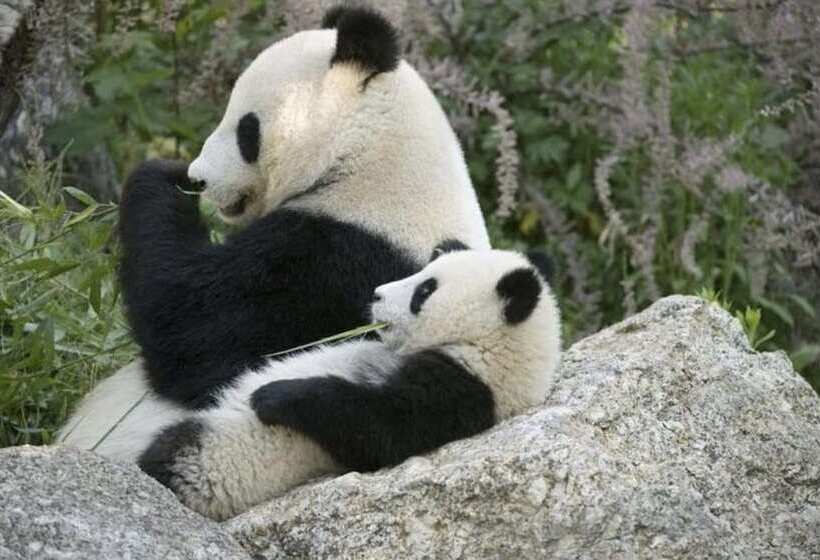 בית מלון כפרי The Ritz Carlton, Shenzhen, Nearby Futian Cbd, Convention & Exhibition Center, Futian Railway Statio