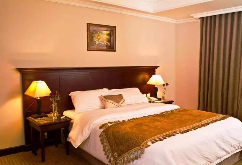 ホテル Tulip Inn Riyadh