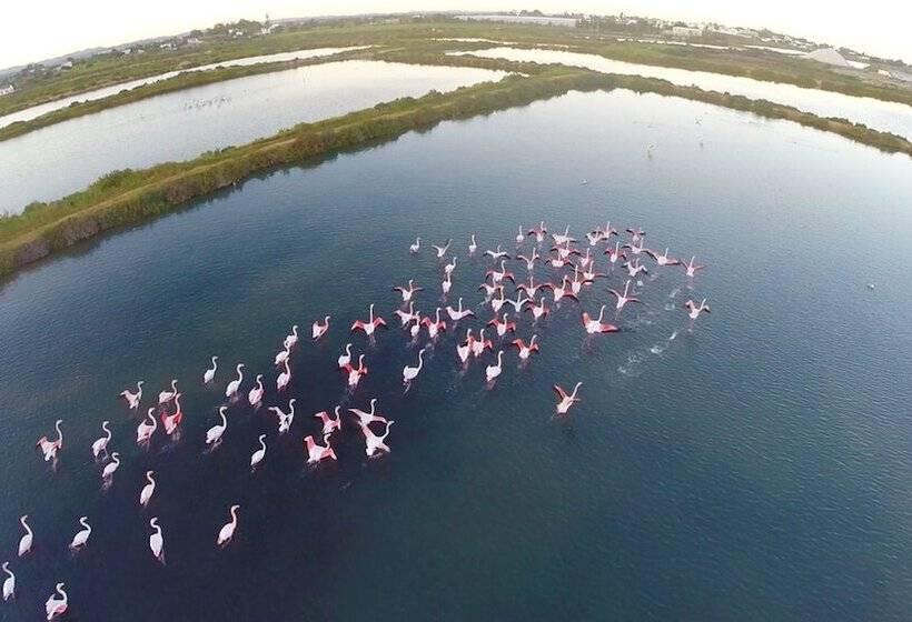 Real Marina Residence