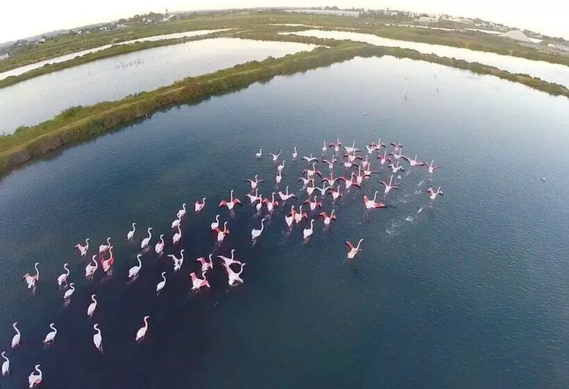 Real Marina Residence