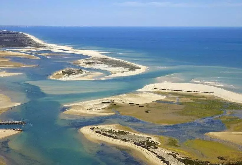 Real Marina Residence