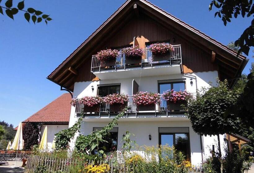 Общежитие Gasthof Grüner Baum Kongo