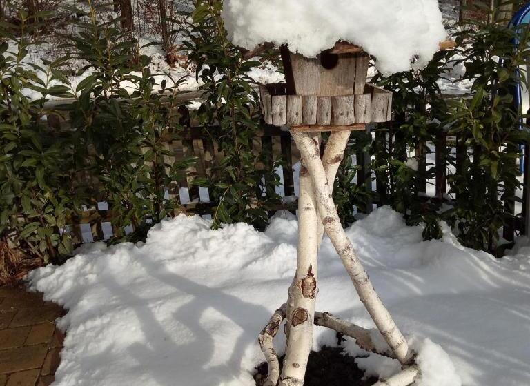 Общежитие Gasthof Grüner Baum Kongo