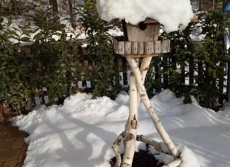 Retkeilymaja Gasthof Grüner Baum Kongo