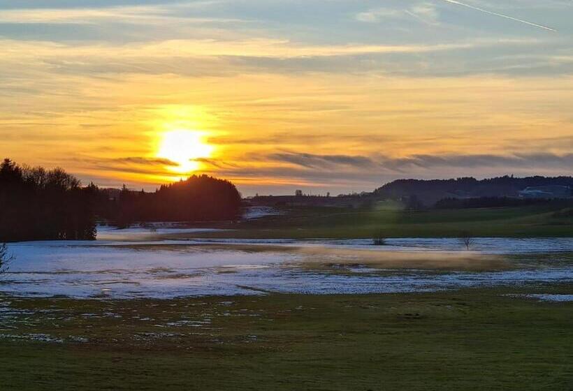 Общежитие Gasthof Grüner Baum Kongo