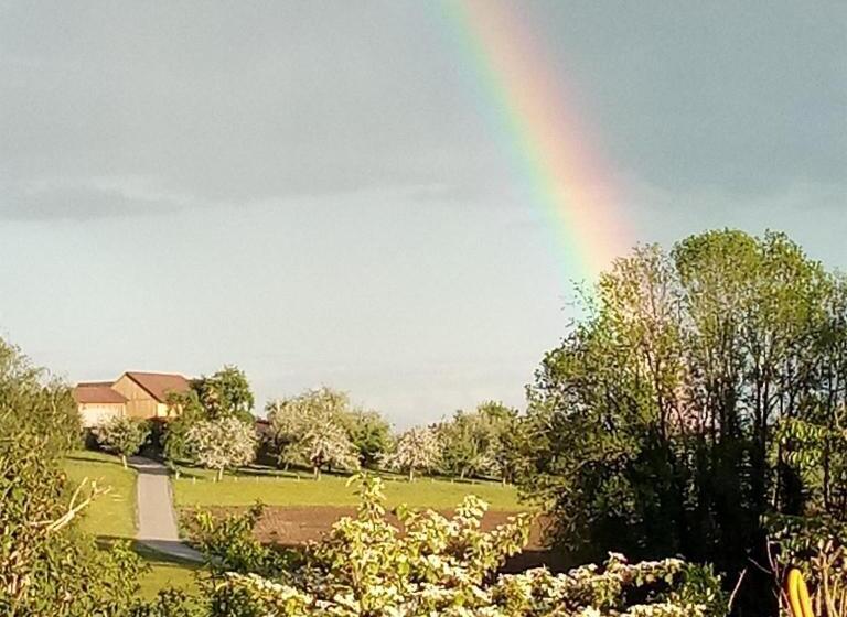 Общежитие Gasthof Grüner Baum Kongo