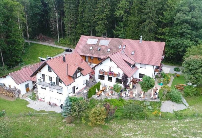 Общежитие Gasthof Grüner Baum Kongo