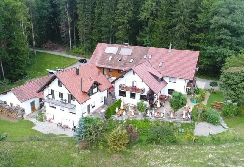 Retkeilymaja Gasthof Grüner Baum Kongo