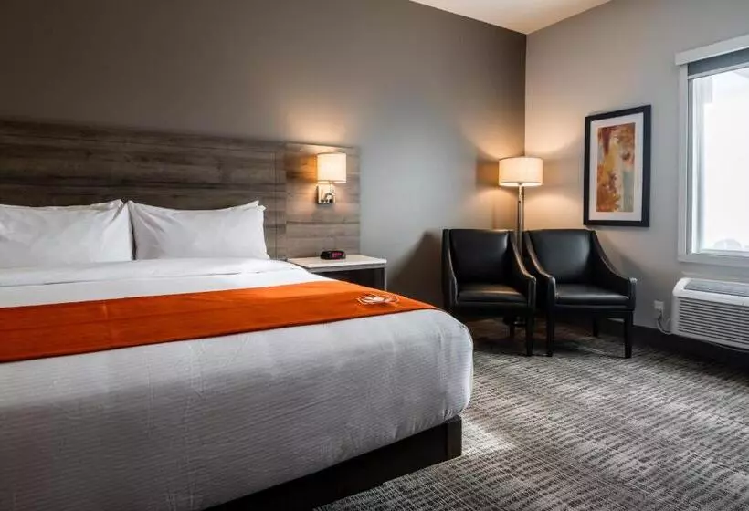 Hotelli Amsterdam Inn & Suites Florenceville