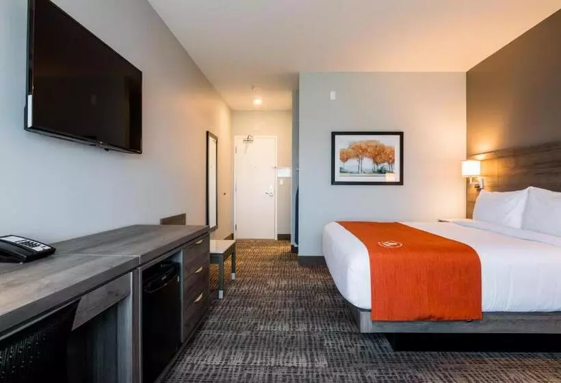 Hotelli Amsterdam Inn & Suites Florenceville