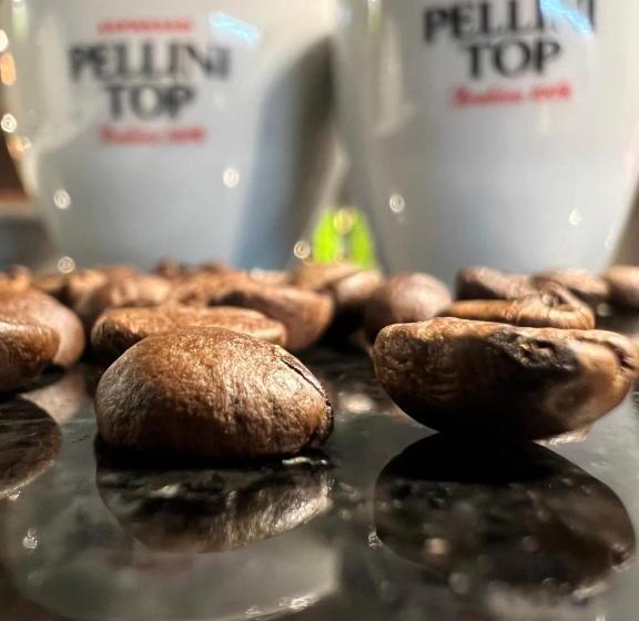 هتل Biador Apartments