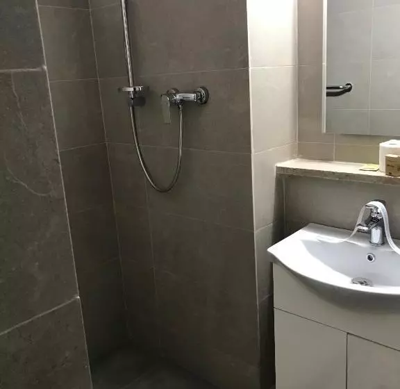 ホテル Lebăda