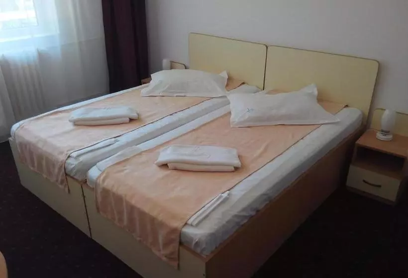 ホテル Lebăda