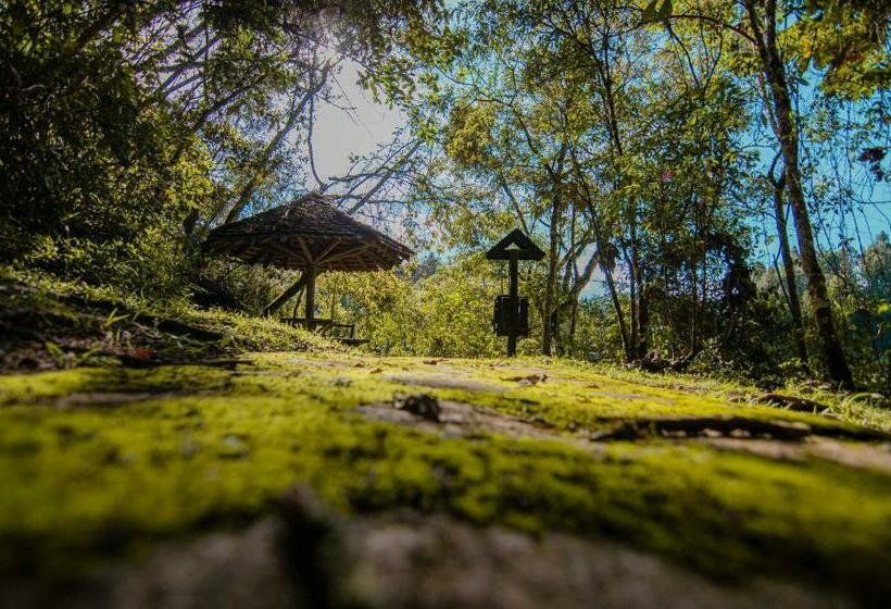 ホテル Piedras Blancas   Comfenalco Antioquia