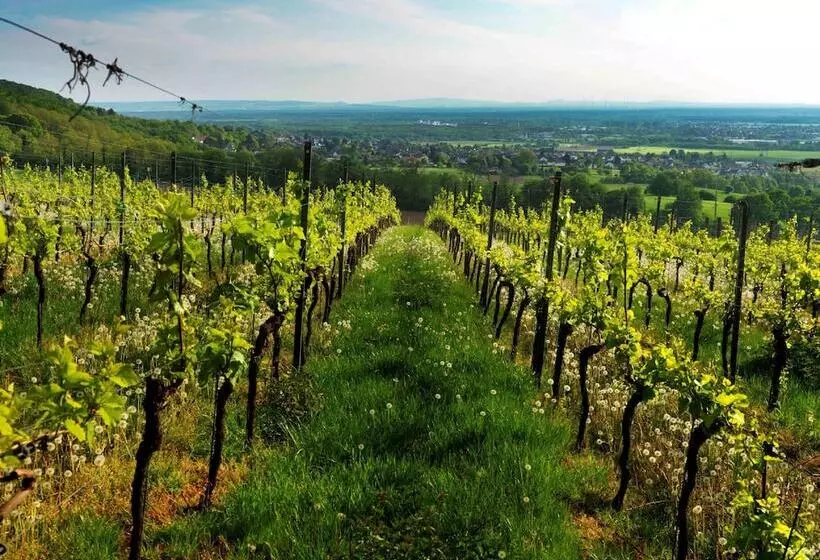 Majatalo Weinmotel Simon 1 A