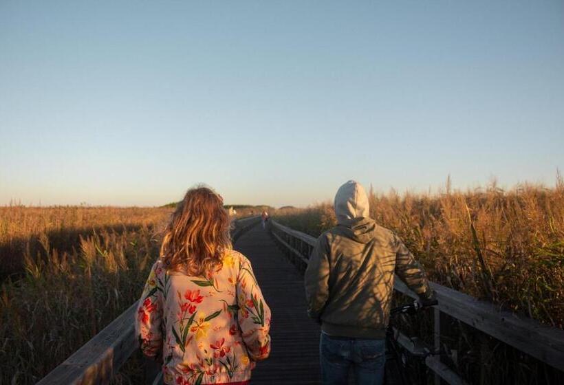 旅馆 Behappy Lodge & Brunch