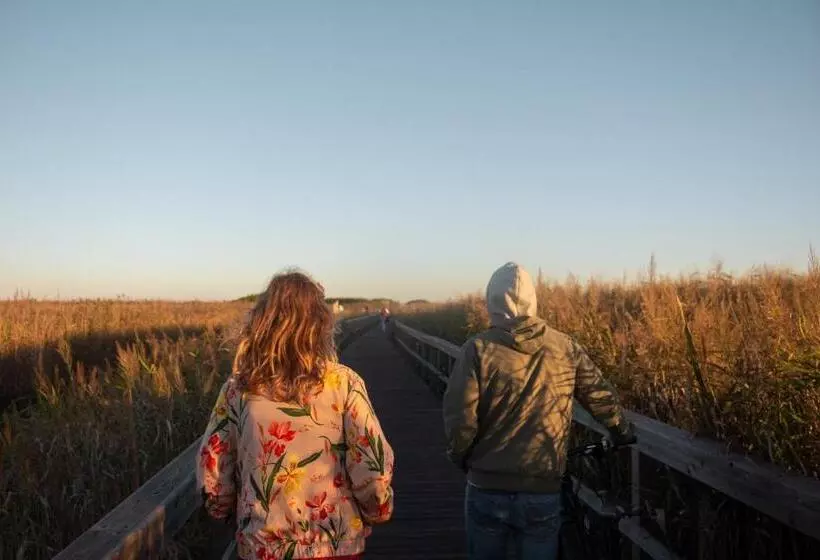 ユースホステル Behappy Lodge & Brunch