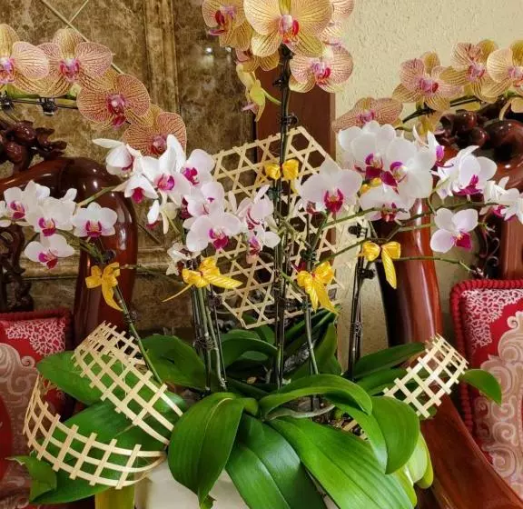 Hồ Tây