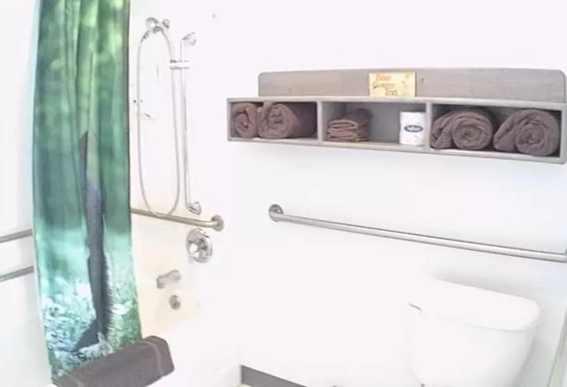 ホテル Bear Counrty Inn