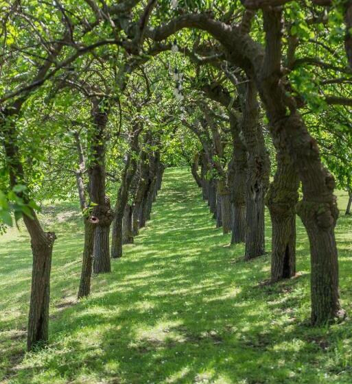 ホテル Collina Dei Poeti