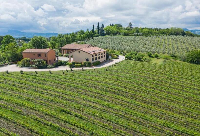 ホテル Collina Dei Poeti