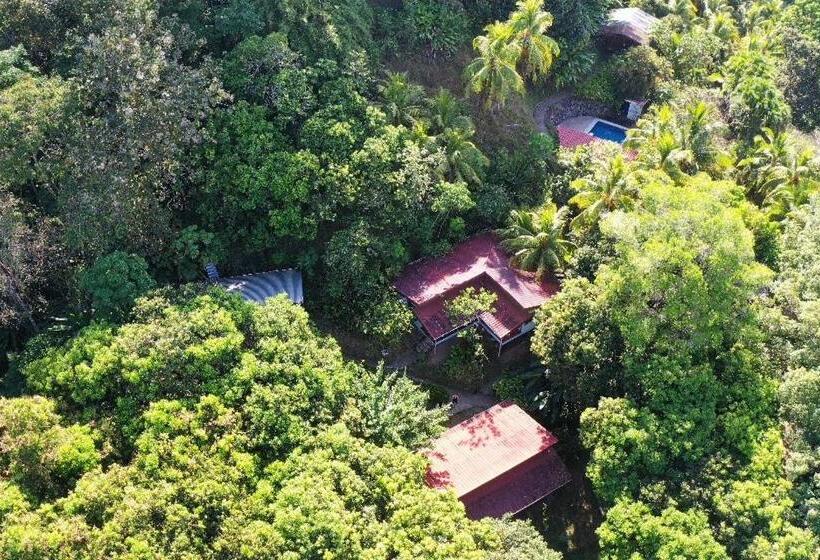 فندق Iguana Libre