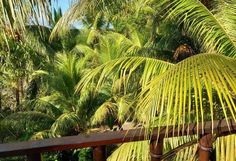 هتل Iguana Libre