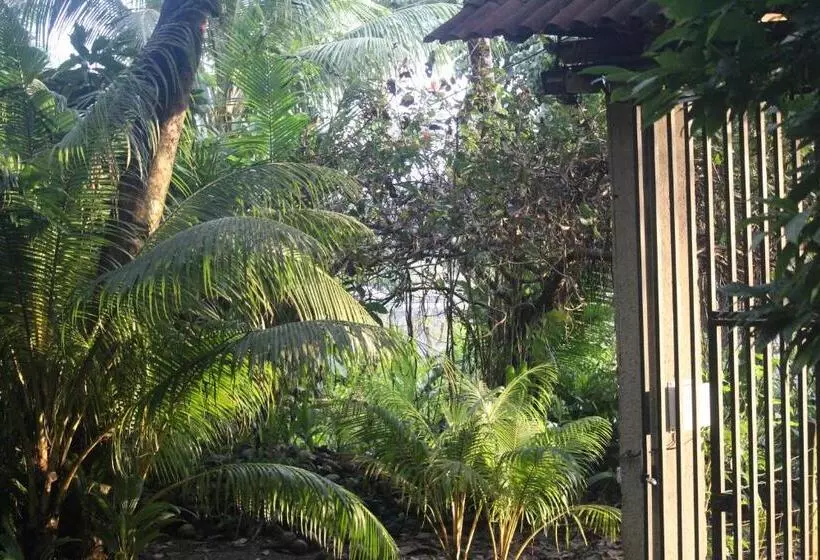 هتل Iguana Libre