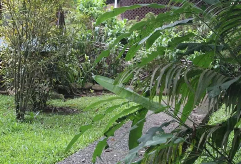 هتل Iguana Libre