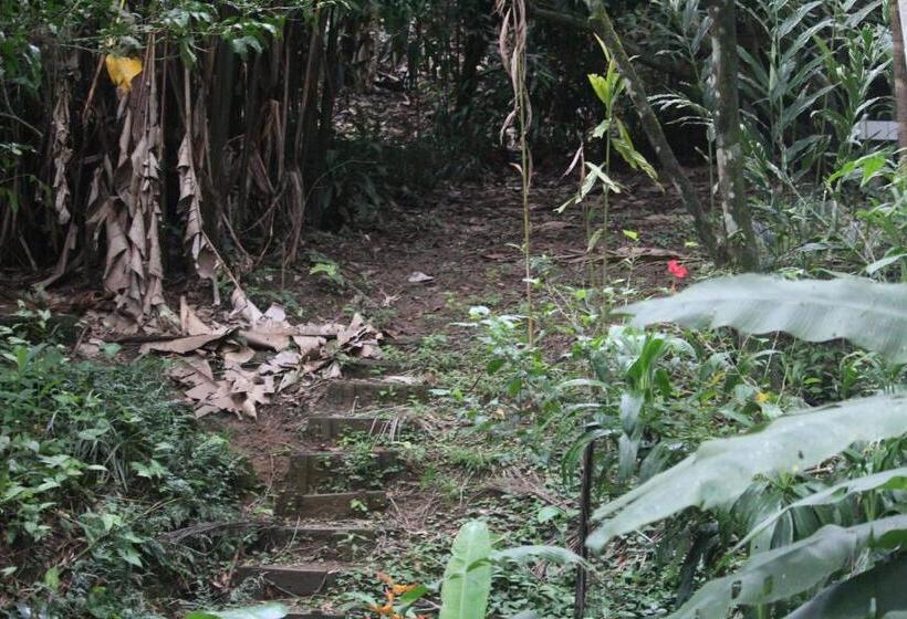 فندق Iguana Libre