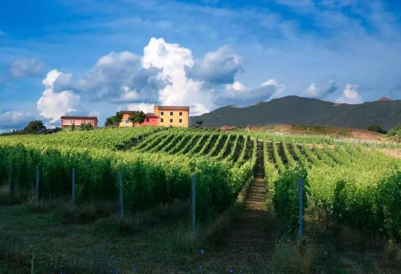 ホテル Tenuta Grimaldi Wine Resort