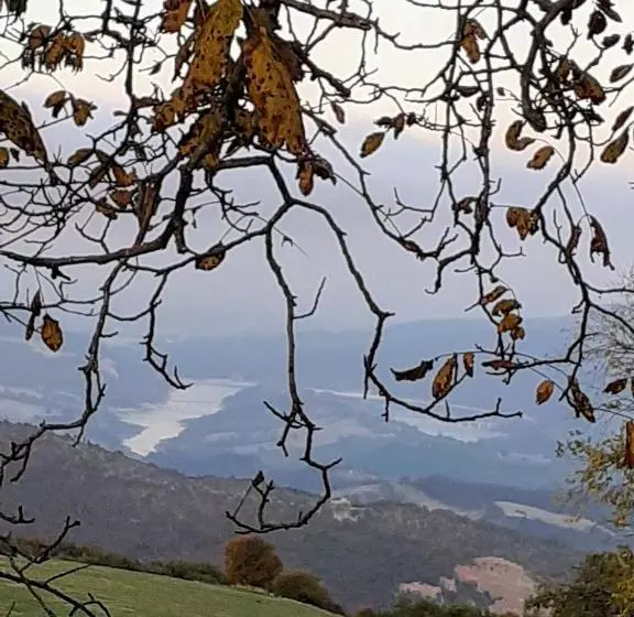 ホテル Tenuta Grimaldi Wine Resort