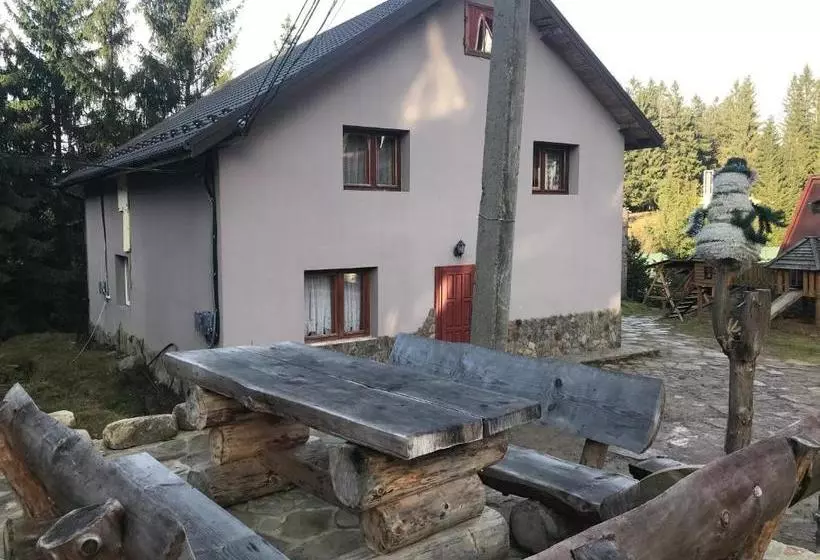 هتل Bartka