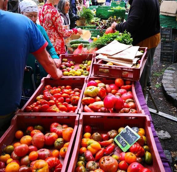 בית מלון כפרי Le Somail