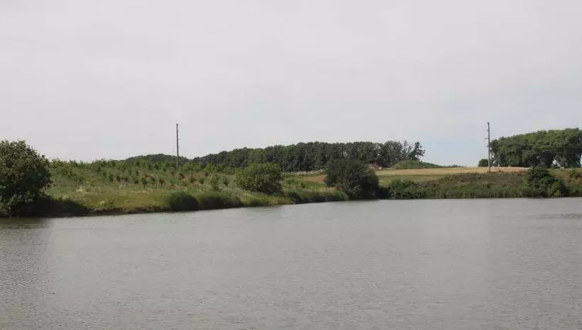 Hotelli Parade Allure