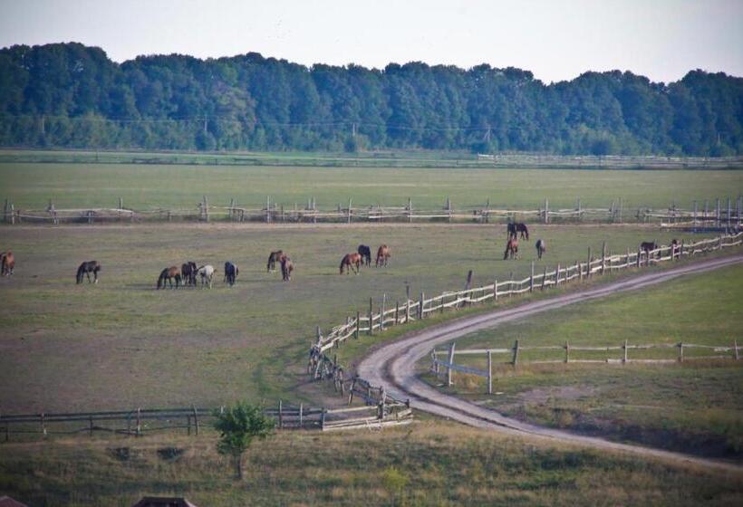 فندق Parade Allure