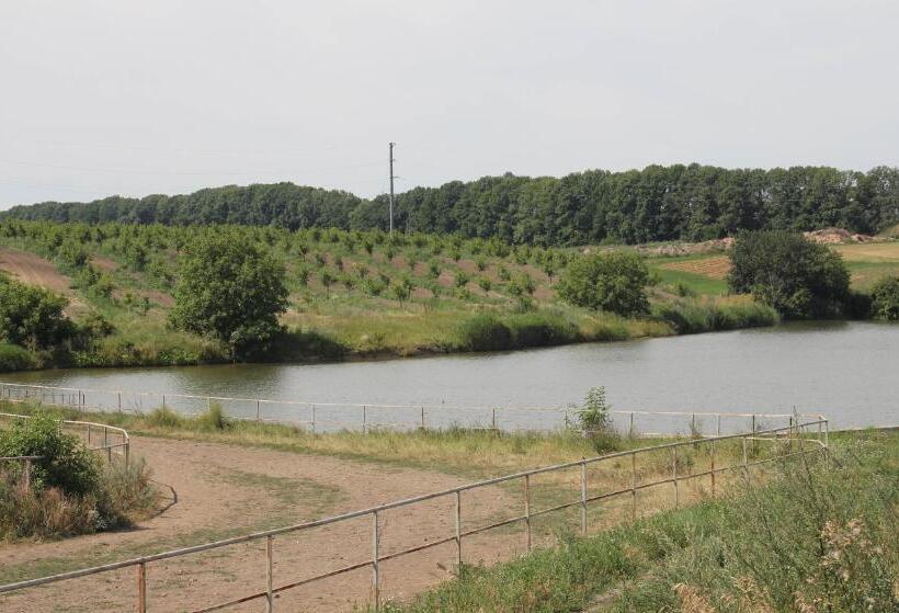 فندق Parade Allure