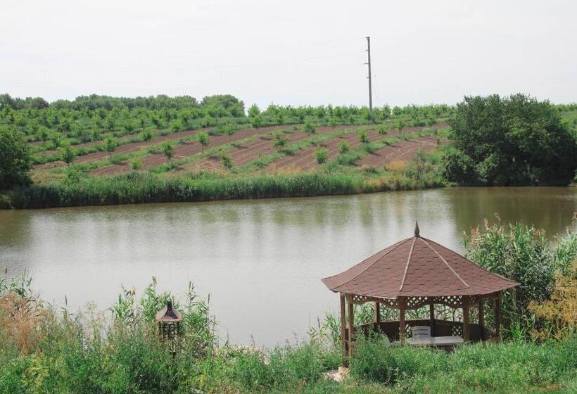 فندق Parade Allure