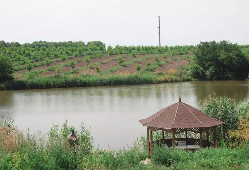 Hotelli Parade Allure