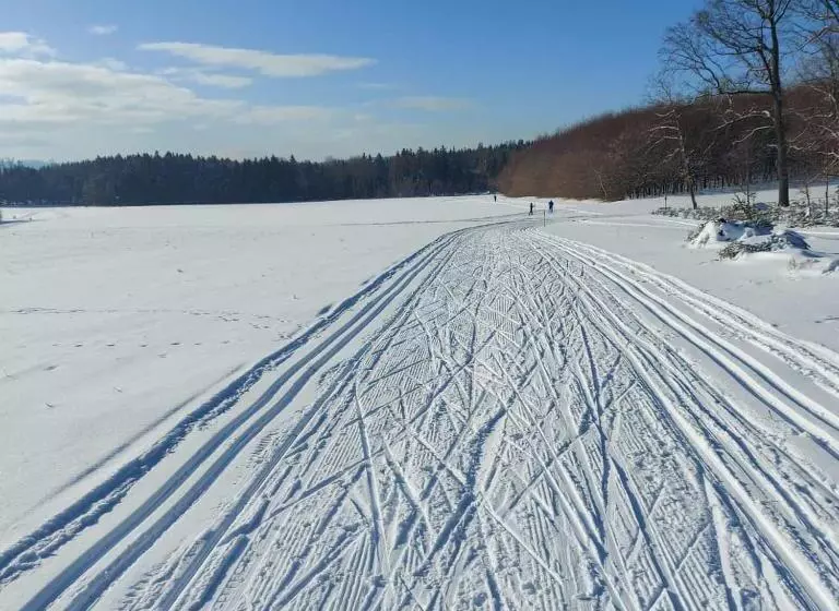 Landhotel Waldschlößchen Mit Gaststube