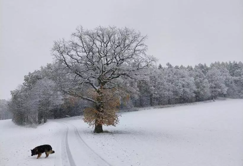 Landhotel Waldschlößchen Mit Gaststube