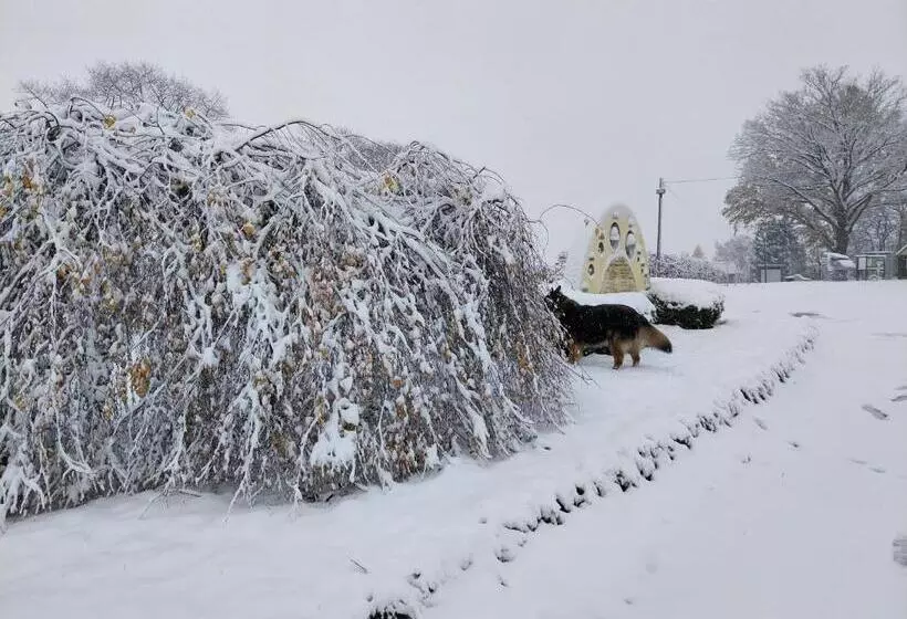 Landhotel Waldschlößchen Mit Gaststube