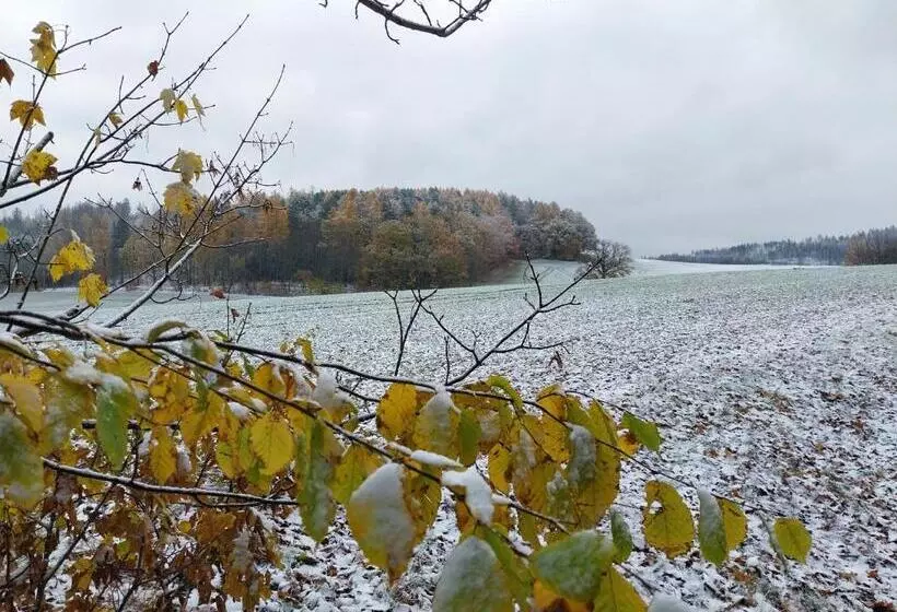 Landhotel Waldschlößchen Mit Gaststube